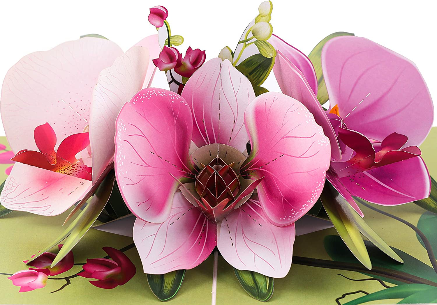 Pop up Orchid Flower Mother Day Card- 3D Cards for Birthday, Anniversary, Thank You Cards, Card for Mom, Congratulation Card, Love Card, All Occasion